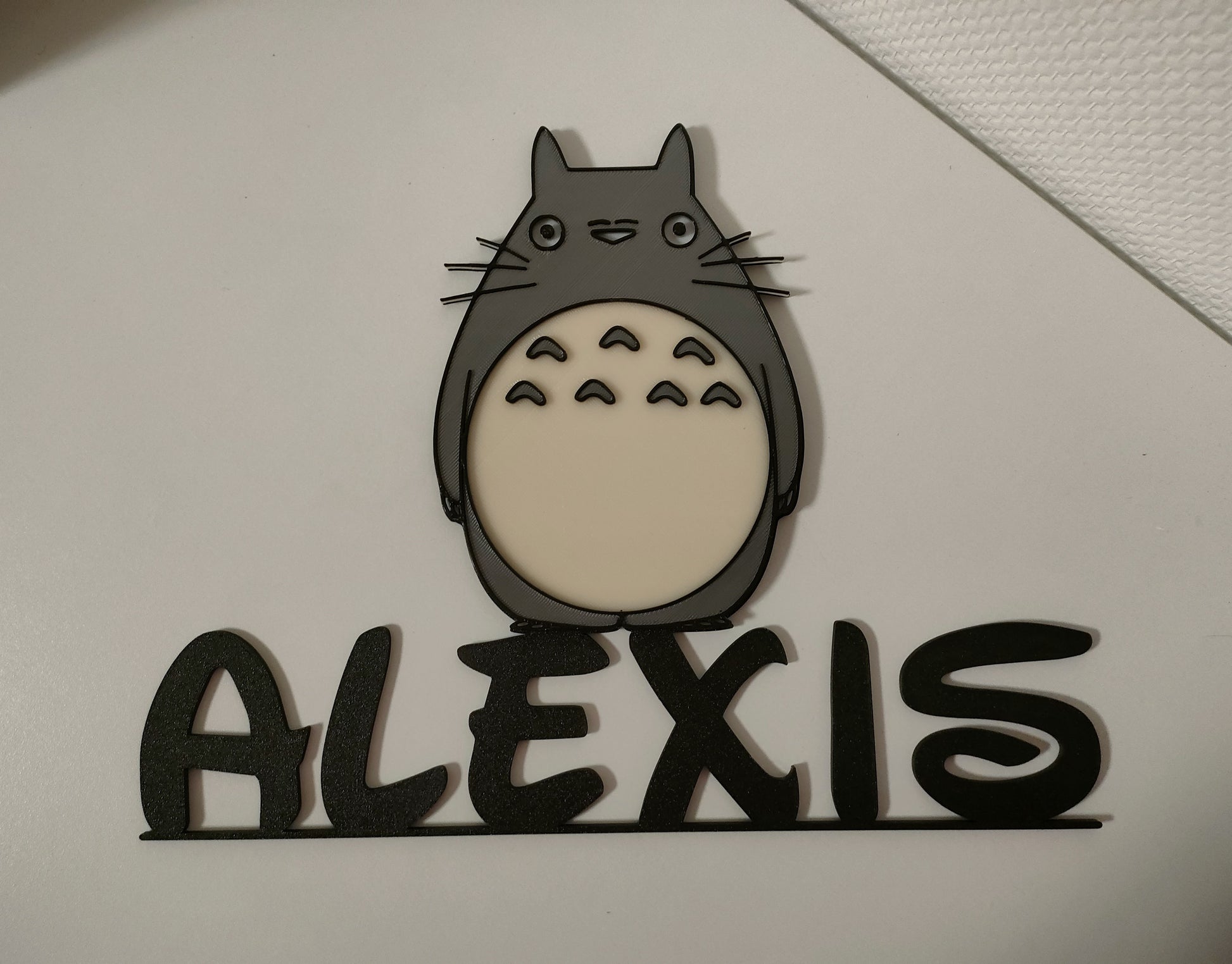 Alexis, Noir avec Totoro